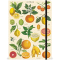 Vintage-Inspired Citrus Lemon Orange Notebook Journal with Elastic Closure