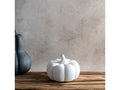 Small Terracotta Pumpkins | 3 Colors
