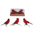 Foam & Feather Cardinal Clip-on Ornaments (Set of 3)